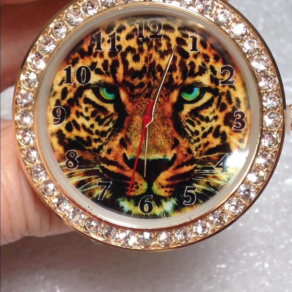 Cheetah Watch, Exp. Band